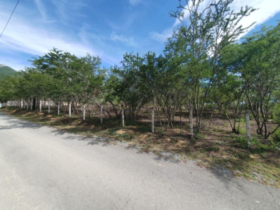 Terreno en Venta en Los Rodriguez, Santiago, Nuevo León