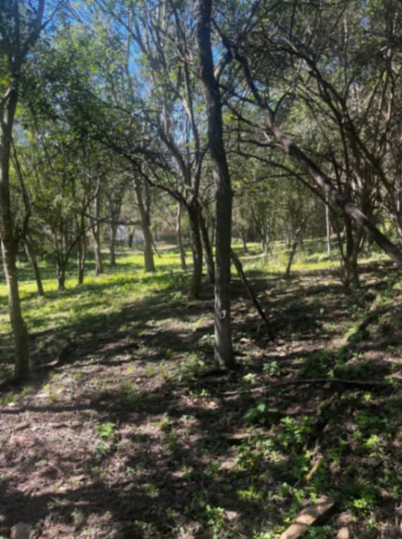 Terreno en Venta en Lazarillos de Abajo, Allende, Nuevo León