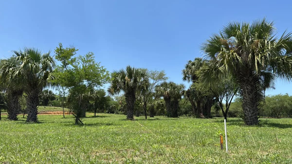 Terreno en Venta en El Fraile, Montemorelos, Nuevo León